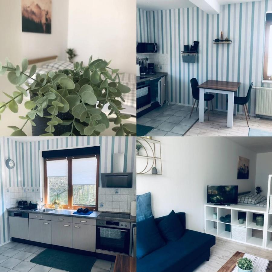 Ferienwohnung Shakira Penig Extérieur photo