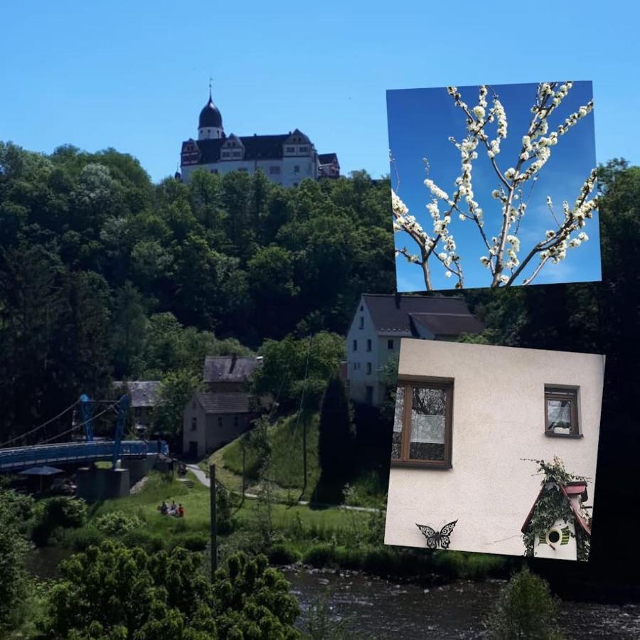 Ferienwohnung Shakira Penig Extérieur photo